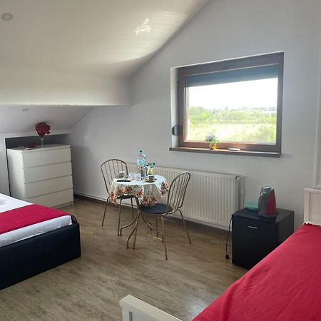 Ami Residence Bucharest Airport&Therme&Parking Otopeni Bagian luar foto